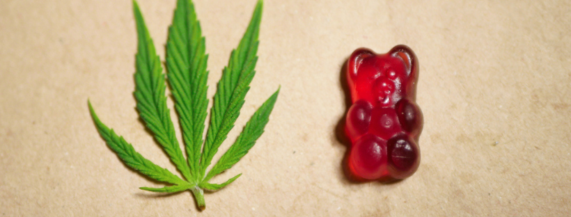 What To Expect From Solventless Cannabis Gummies
