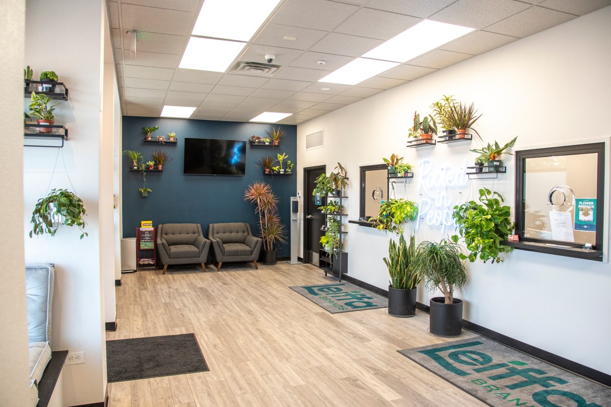 Solventless Concentrates and Lakewood Dispensary