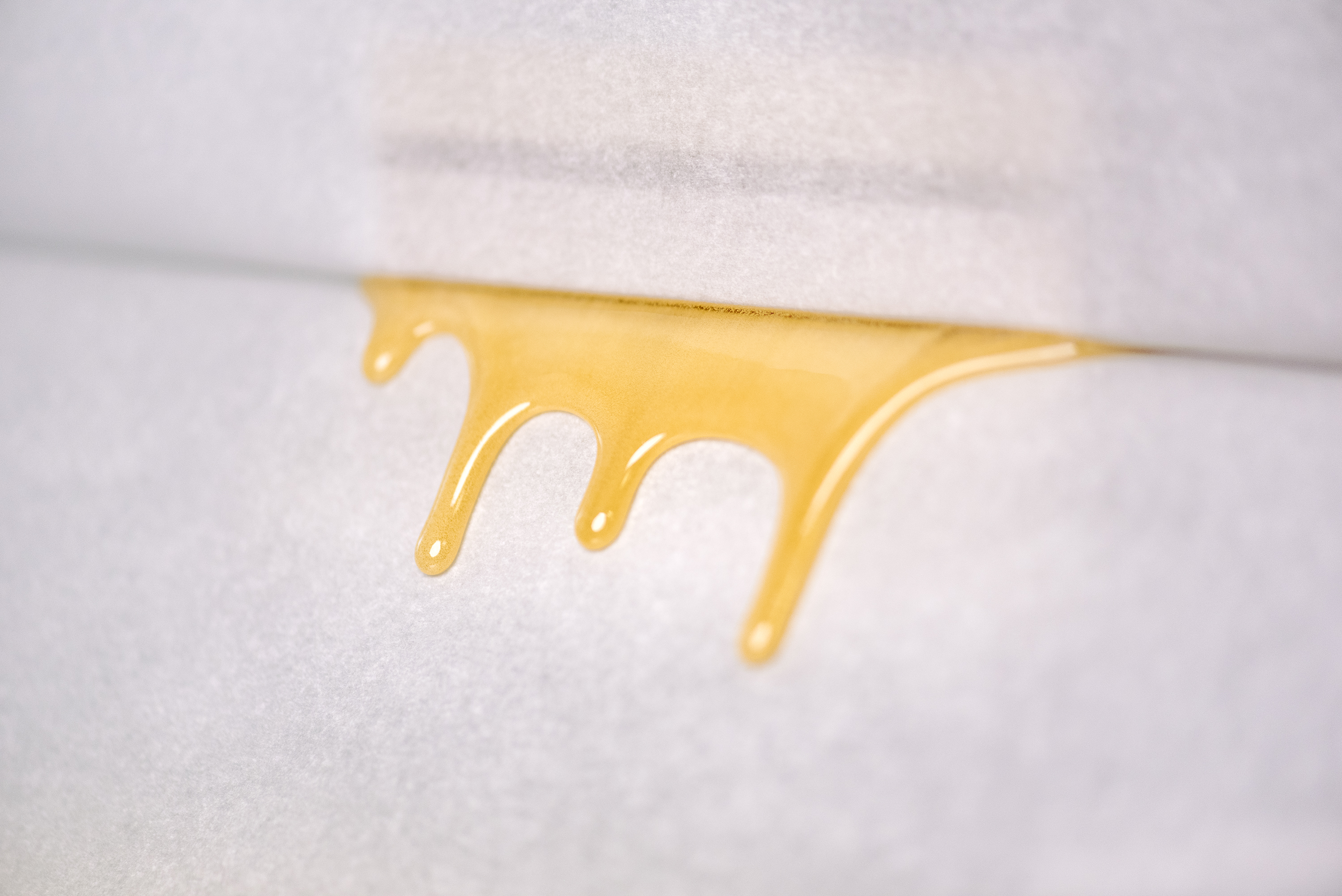 Solventless Cannabis Rosin Pressing